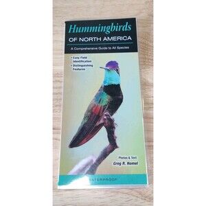 Hummingbirds of North America: A Comprehensive Guide to All Species